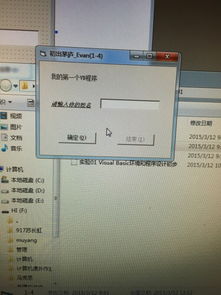 計(jì)算機(jī)編程與Visual Basic 入門與展望